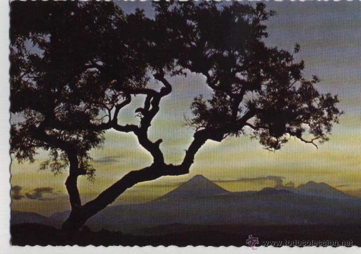 Postales: Postal atardecer EL SALVADOR - Foto 1