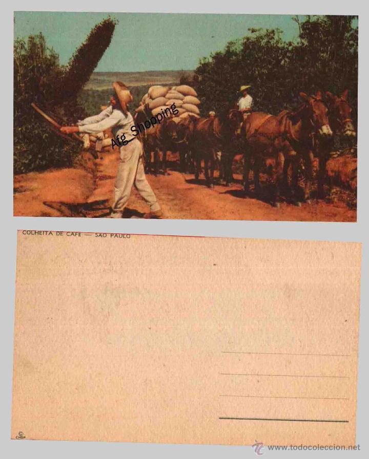 Postcards: PLANTACION DE CAFE - SAO PAULO - Old postcard