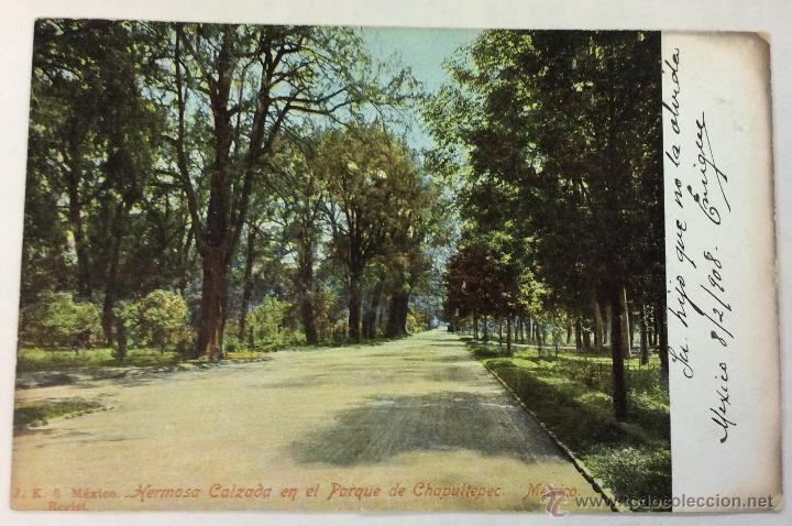 Postais: HERMOSA CALZADA EN EL PARQUE DE CHAPULTEPEC. M&Eacute;XICO. J. K. 6. REVERSO SIN DIVIDIR.
