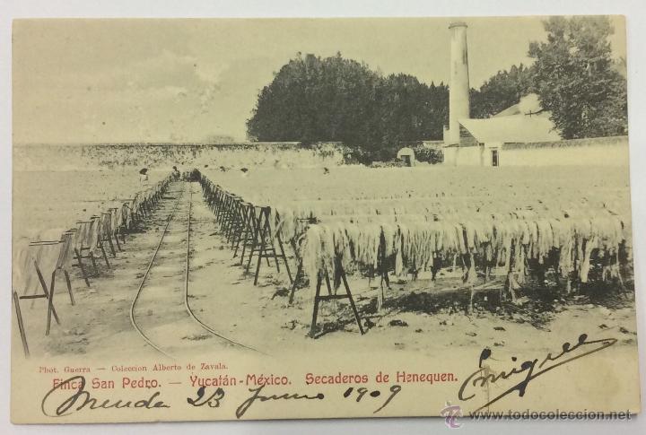Cartes Postales: FINCA SAN PEDRO. SECADEROS DE HENEQUEN. YUCAT&Aacute;N. PHOT. GUERRA. REVERSO SIN DIVIDIR.