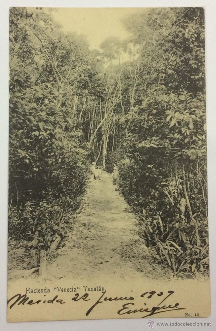 Postales: HACIENDA VENECIA. YUCAT&Aacute;N. N&ordm; 45. REVERSO SIN DIVIDIR.
