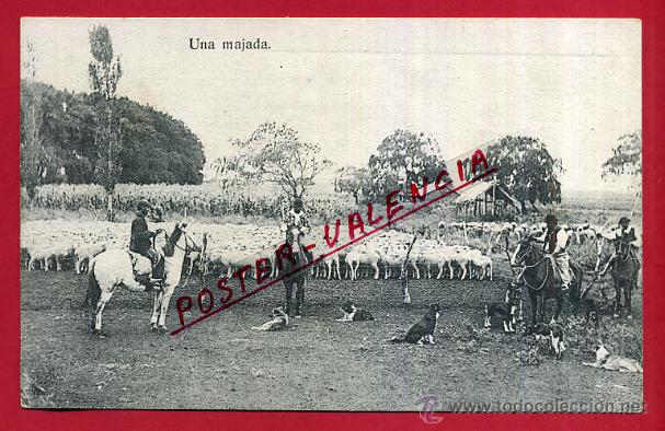 Postales: POSTAL ARGENTINA, UNA MAJADA, P81570