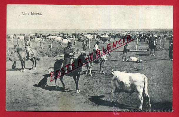 Postales: POSTAL ARGENTINA, UNA HIERRA, P81571