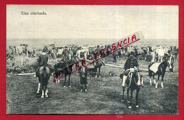Postales: POSTAL ARGENTINA, UNA CINCHADA, P81573