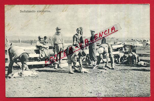 Postales: POSTAL ARGENTINA, SE&Ntilde;ALANDO CORDEROS, P81577