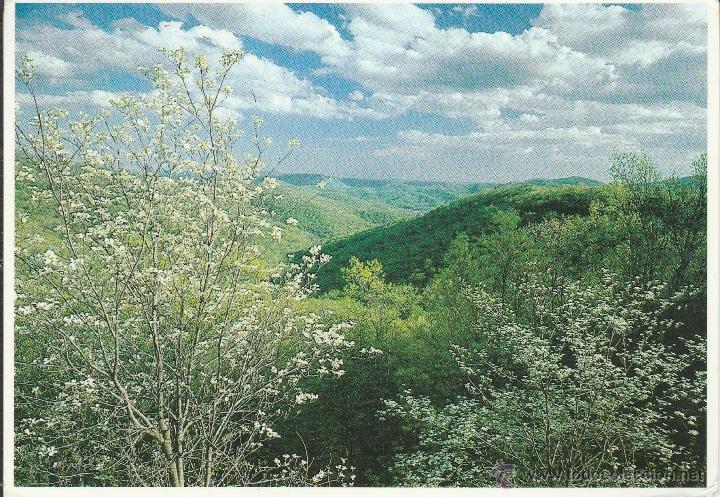Postcards: N&ordm; 24337 POSTAL BLUE RIDGE PARKWAY ESTADOS UNIDOS