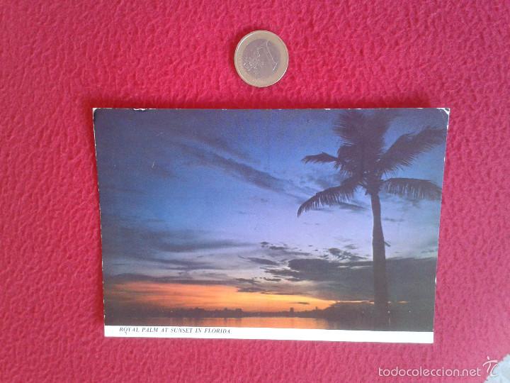 Postais: BONITA POSTAL POSTCARD ESTADOS UNIDOS USA EEUU royal palm at sunset in florida. MUY BONITA VER FOTO