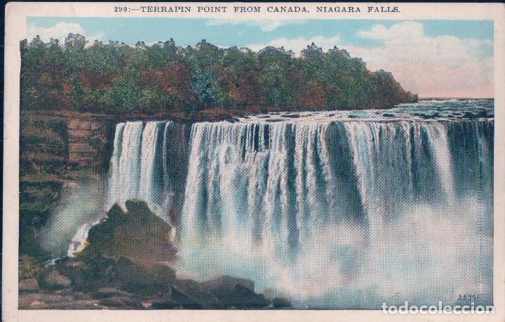 Cartoline: TERRAPIN POINT FROM CANADA NIAGARA FALLS. GORDON WILLIAMS U.S.C.E. 10434. RECP 20331A