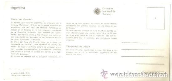 Postales: POSTAL DE ARGENTINA - PESCA DEL DORADO - Foto 2