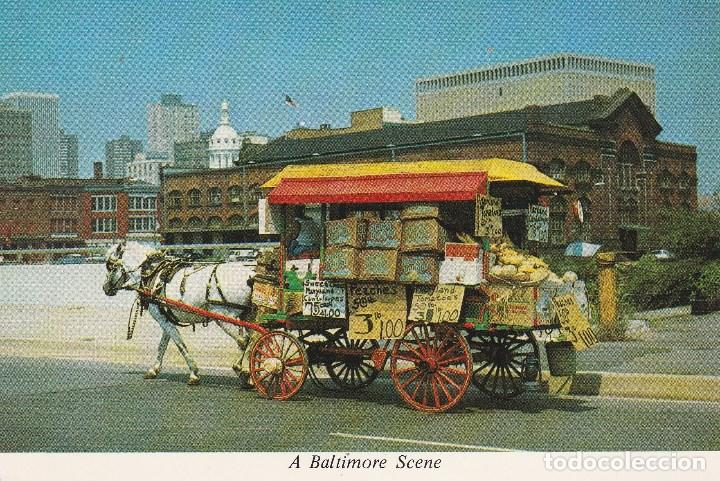 Cartoline: N&ordm; 946 POSTAL A BALTIMORE SCENE USA