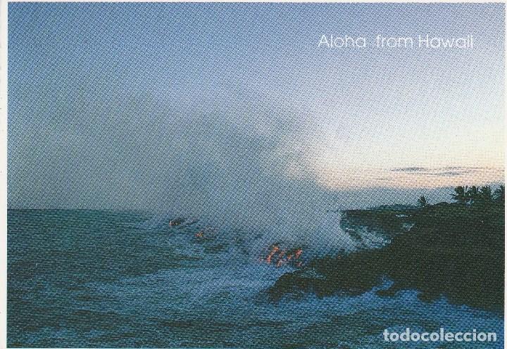 Postkarten: N&ordm; 29610 POSTAL ALOHA FROM HAWAII