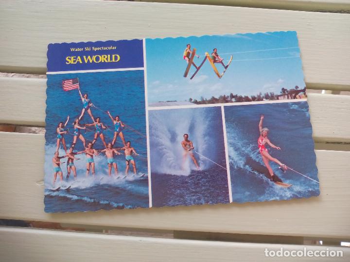 Postales: Tarjeta postal. Sea World. Water Ski Spectacular. San Diego A&ntilde;os 60-70 USA. PostCard