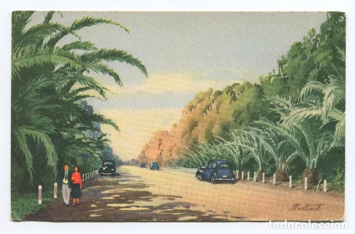 Postales: Argentina. 1954. La Costanera. Santiago del Estero. Ed. Codex - Sarandi 328. Trasera sin dividir