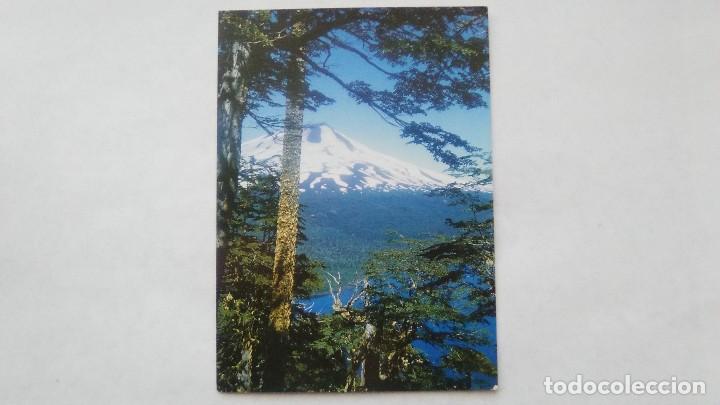 Postais: POSTAL VOLCAN LLAIMA, PARQUE NACIONAL CONGUILLIO, NOVENA REGION, CHILE. 1989. POST CARD