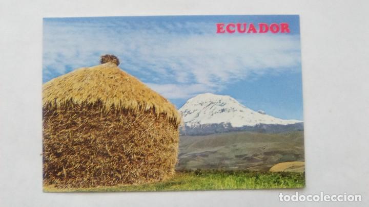 Cartoline: POSTAL ECUADOR SUD AMERICA, EL CHIMBORAZO 6.310 MTS. POST CARD