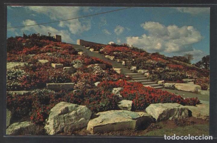 Postales: Canad&aacute;-ON. Hamilton. *Sam Lawrence Park ...* Nueva. - Foto 1