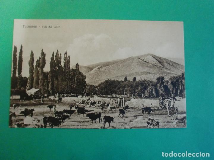 Postais: TUCUMAN TAFI DEL VALLE GANADO TARJETA POSTAL O.H. B.A. N. 34 - ARGENTINA A&Ntilde;OS 20