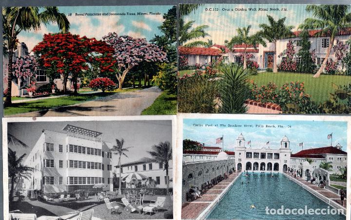 Postales: LOTE DE 38 TARJTAS POSTALES DE FLORIDA. - Foto 2