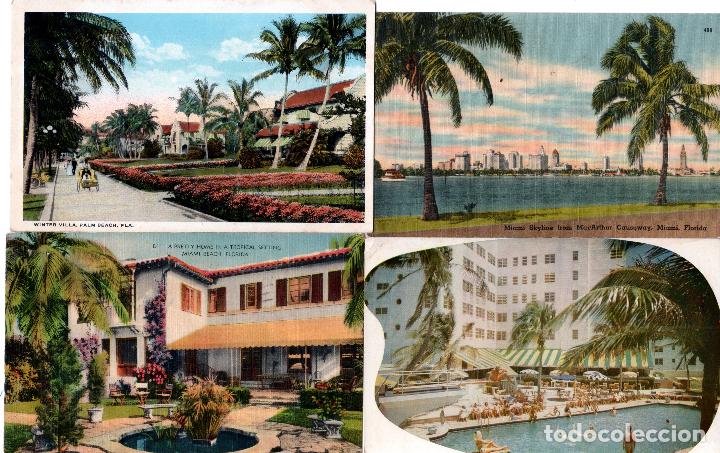 Postales: LOTE DE 38 TARJTAS POSTALES DE FLORIDA. - Foto 3