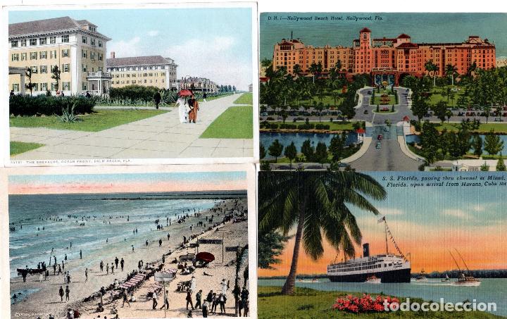 Postales: LOTE DE 38 TARJTAS POSTALES DE FLORIDA. - Foto 5