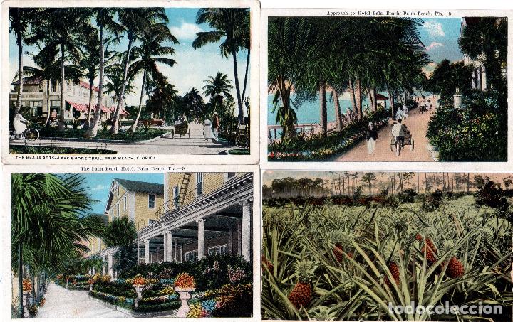 Postales: LOTE DE 38 TARJTAS POSTALES DE FLORIDA. - Foto 7
