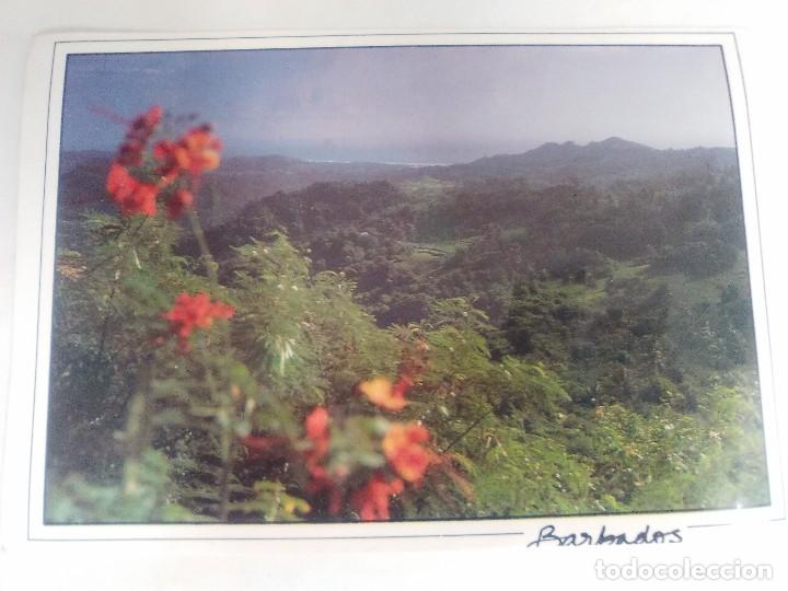 Cartoline: TARJETA POSTAL DE BARBADOS. FLOWER FOREST. B25. A&Ntilde;O 1992.