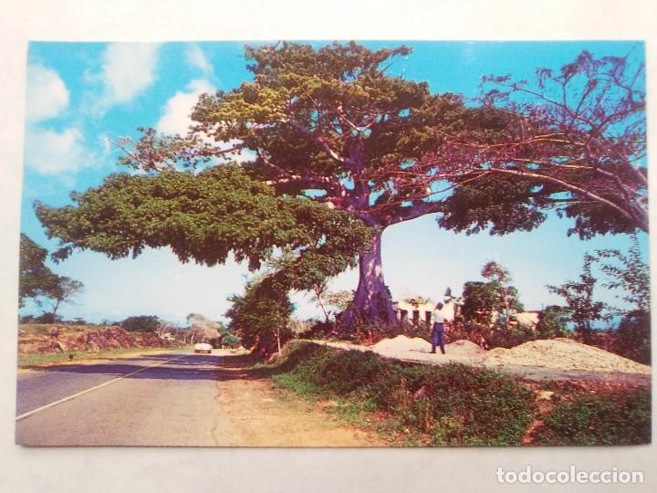 Postales: TARJETA POSTAL. GREETINGS FROM PUERTO RICO. 44836