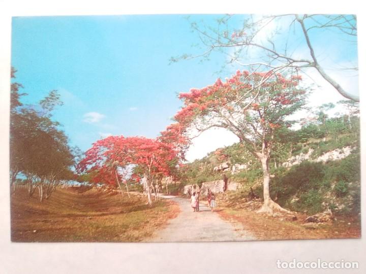 Postais: TARJETA POSTAL. GREETINGS FROM PUERTO RICO. 44835