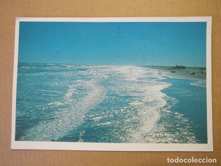 Postales: Padre Island. Texas. Circulada. - Foto 1