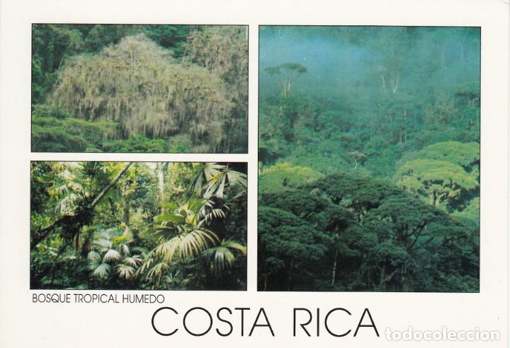 Postais: COSTA RICA. BOSQUE TROPICAL H&Uacute;MEDO. RESERVA BIOL&Oacute;GICA LA MARTA E HITOY-CERERE.
