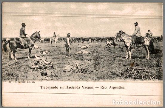 Postais: REP&Uacute;BLICA ARGENTINA. TRABAJANDO EN HACIENDA VACUNA. (55 J. PEUSER.)
