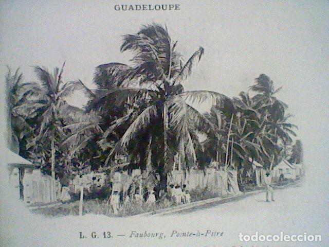 Postais: GUADALOUPE L.G.13 FAUBOURG POINTE A  PITRE ED C. LEVALOIS PHARMACIEN S/C SIN DIVIDIR