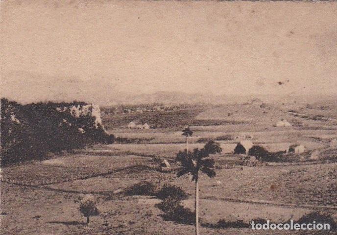 Cartoline: Postal original. D&eacute;cada 30. Cuba. Pinar del R&iacute;o. Valle de Vi&ntilde;ales. n&ordm;1503