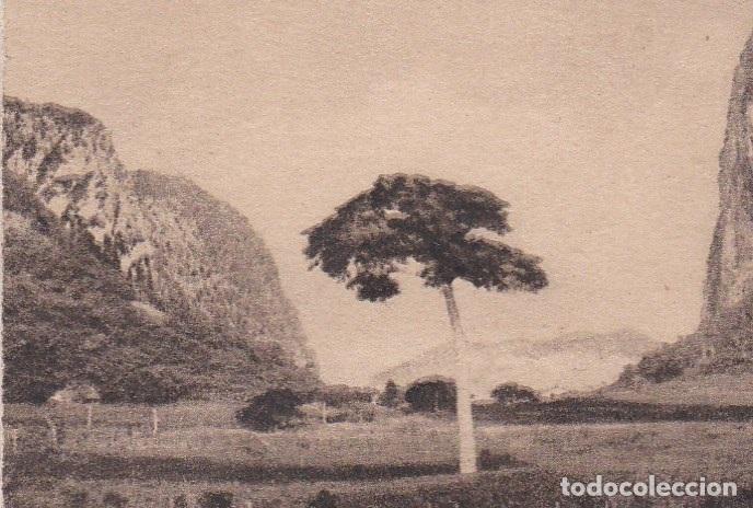 Cartoline: Postal original. D&eacute;cada 30. Cuba. Pinar del R&iacute;o. Vista cerca de Vi&ntilde;ales. n&ordm; 1505