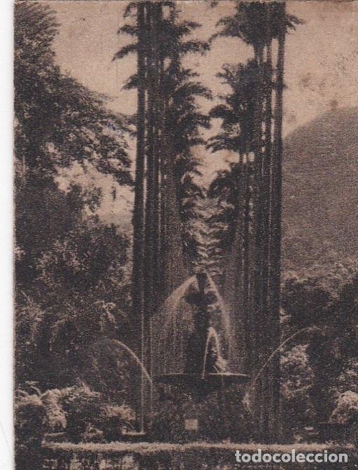 Postales: Postal original. D&eacute;cada 30. Brasil. R&iacute;o de Janeiro. Jard&iacute;n Bot&aacute;nico. n&ordm; 1916