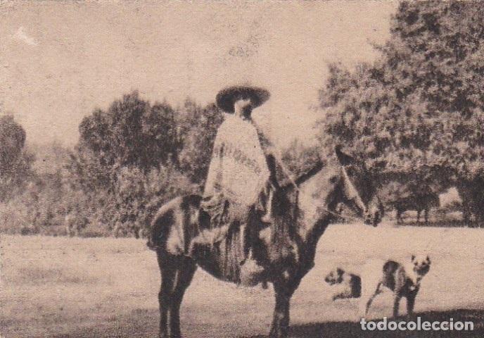 Cartoline: Postal original. D&eacute;cada 30. Chile. Un Hacendado. n&ordm; 1983