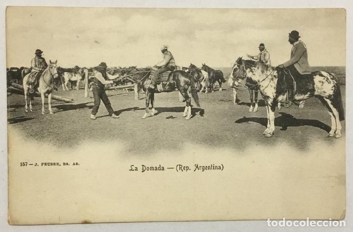 Postales: LA DOMADA - (REP. ARGENTINA). 157 - J. PEUSER, BS. AS.