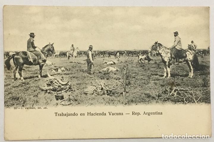 Postais: TRABAJANDO EN HACIENDA VACUNA - REP. ARGENTINA. 55 - J. PEUSER, BS. AS.