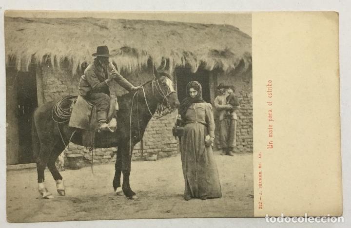 Postales: UN MATE PARA EL ESTRIBO. 212 - J. PEUSER, BS. AS. REVERSO SIN DIVIDIR. ARGENTINA