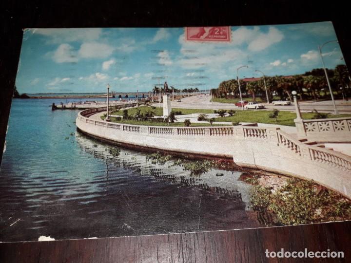 Postales: N&ordm; 5019 POSTAL TAMPA FLORIDA ESTADOS UNIDOS
