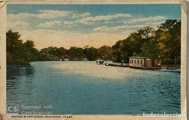 Cartoline: TARJETA POSTAL. EEUU. TEXAS. NEAUMONT. NECHES RIVER SCENE. HICK'S BOOK STORE.