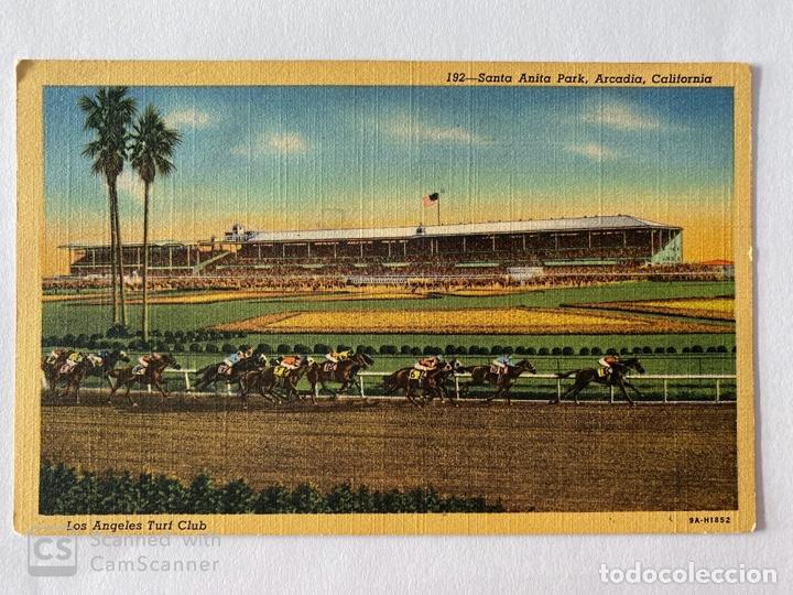 Postais: TARJETA POSTAL. EEUU. CALIFORNIA. ARCADIA. 192.- SANTA ANITA PARK.