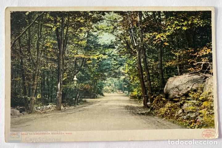 Postcards: TARJETA POSTAL. EEUU. MASSACHUSETTS. MAGNOLIA. 10661.-ROAD TO MACHESTER.
