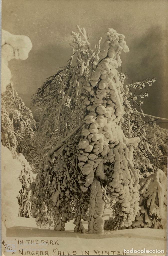 Postcards: TARJETA POSTAL. EEUU. CANADA. NIGARA FALLS IN WINTER. IN THE PARK.