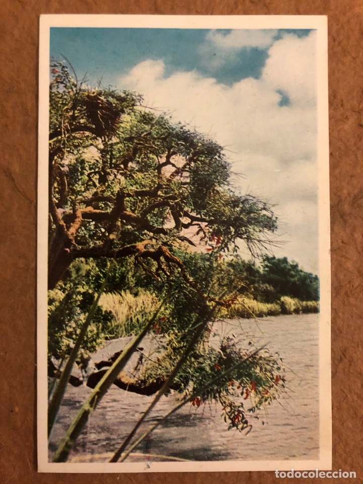 Cartes Postales: BALNEARIO SANTA ANA DE GREISING HNOS (ASTILLEROS). POSTAL CIRCULADA EN 1959. N&deg; 1.