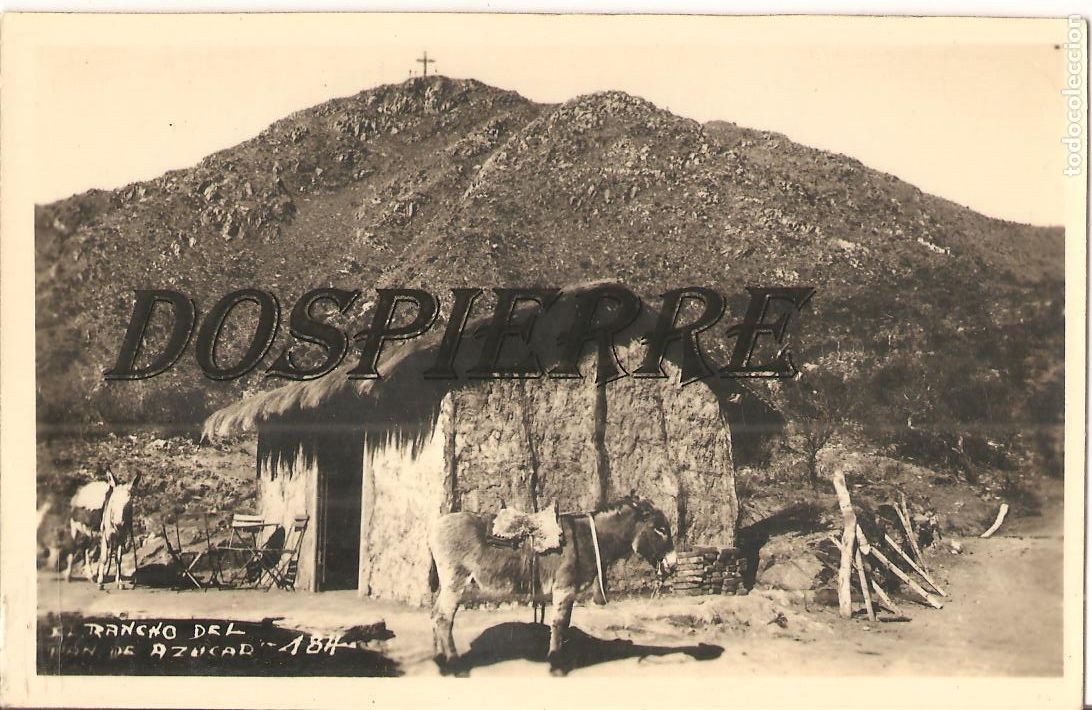 Postais: FOTO-POSTAL, RANCHO DEL PAN DE AZ&Uacute;CAR, N&ordm; 184, ARGENTINA, SIN CIRCULAR