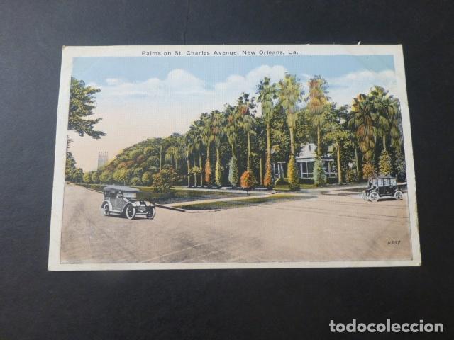 Postales: NEW ORLEANS PALMS - Foto 1