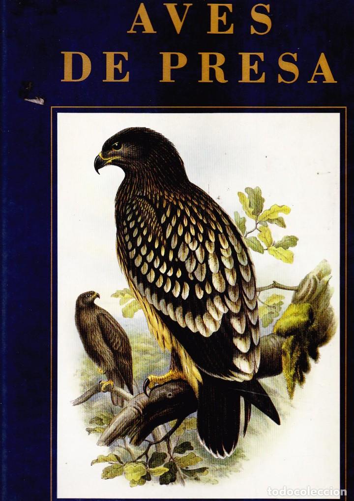 Postales: PUEBLA [M&Eacute;XICO] Y T&Iacute;PICOS. - Foto 9