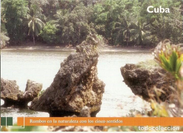 Postcards: POSTAL CUBA - Rumbos en la naturaleza con los cinco sentidos