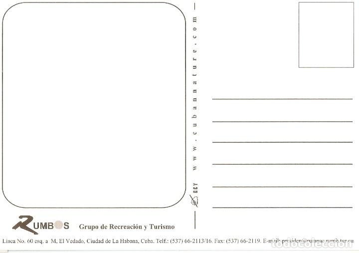 Postales: POSTAL CUBA - HOLGUIN - Foto 2